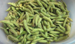 焖麻豆,家常美味，营养满分