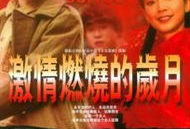 电视剧激情燃烧的岁月,一段烽火岁月的青春传奇