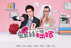 螺丝小姐要出嫁 电视剧,一场浪漫的出嫁之旅